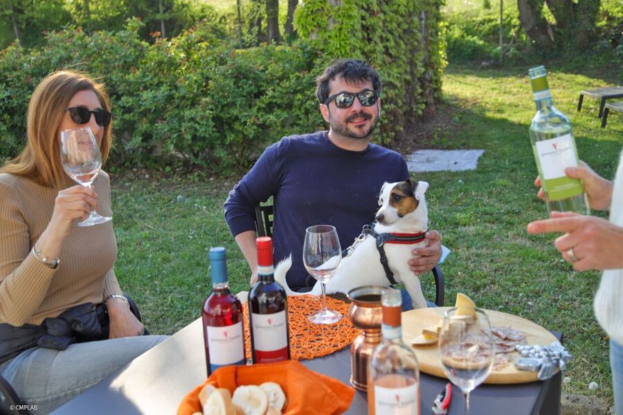 Lake Garda: Vineyard Tour and 6 wine Tasting - Getting to Azienda Agricola Giovanna Tantini