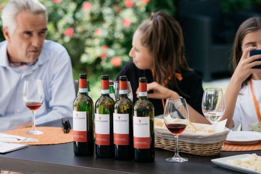 Lake Garda: Vineyard Tour and 6 wine Tasting - The six-wine tasting, from fresh white to serious red