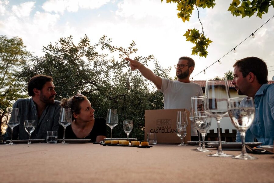 Lake Garda: Vineyard Tour and Tasting on the Hills - The five-wine tasting with local food