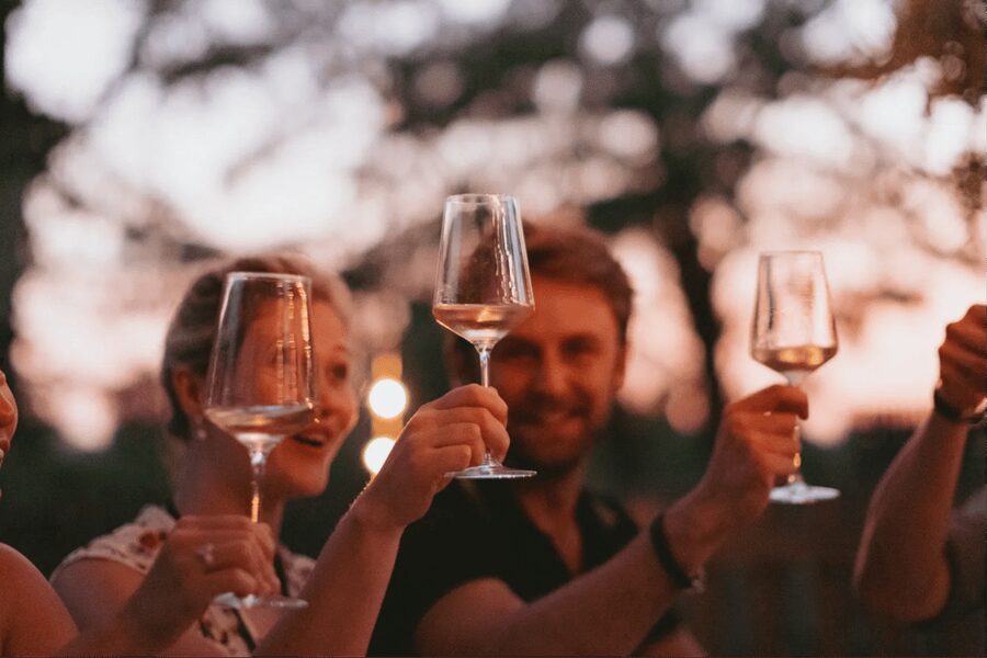 Lake Garda: Vineyard Tour and Tasting on the Hills - Language, access, and the pace of the visit