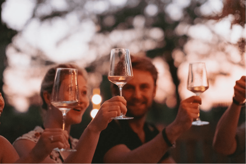 Lake Garda: Vineyard Tour and Tasting on the Hills - Who will enjoy this most