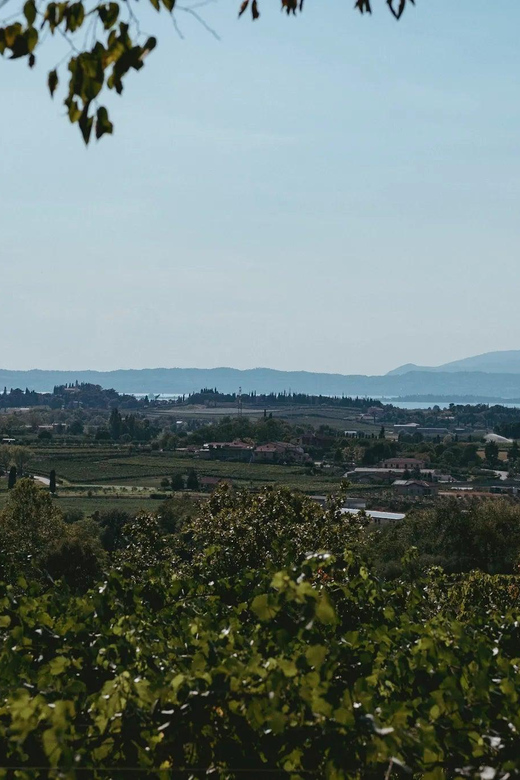 Lake Garda: Vineyard Tour and Tasting on the Hills - Practical booking details
