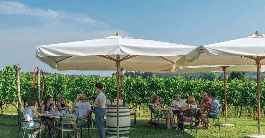 Lake Garda: Wine and Food Tastings in the Vineyards - Key points to know before you book