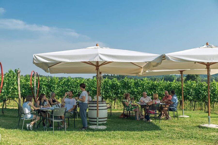 Lake Garda: Wine and Food Tastings in the Vineyards - Arriving at Le Ginestre near Lazise