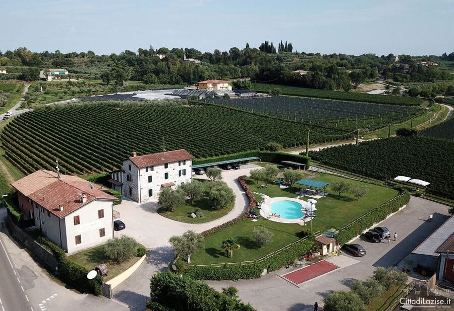 Lake Garda: Wine and Food Tastings in the Vineyards - The vineyard view is part of the tasting