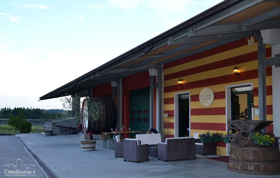 Lake Garda: Wine and Food Tastings in the Vineyards - Who will enjoy this most?