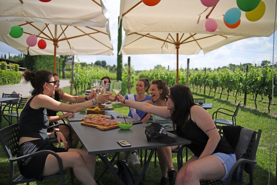 Lake Garda: Wine and Food Tastings in the Vineyards - Small practical details that make a difference