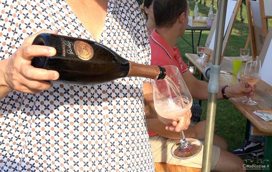 Lake Garda: Wine and Food Tastings in the Vineyards - Six wines, from Garganega to bold reds