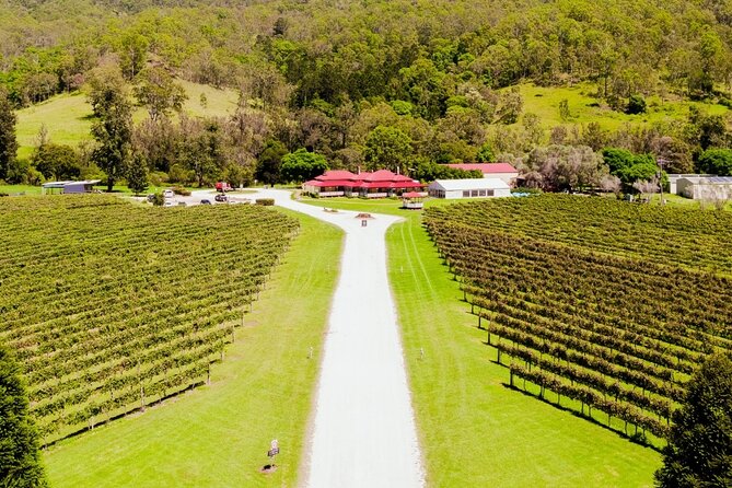 Lamington National Park, O'Reilly's & Vineyard Tour - Kamarun Lookout at 1,000 metres
