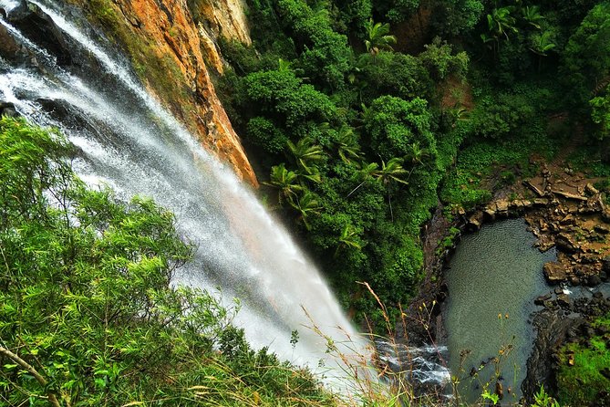 Lamington National Park, O'Reilly's & Vineyard Tour - What the $92.52 price includes