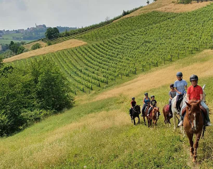 Langhe: Horse Riding in the Vineyards - Key points at a glance