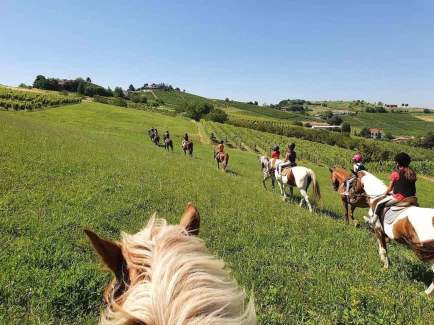 Langhe: Horse Riding in the Vineyards - Following unpaved roads through Monferrato