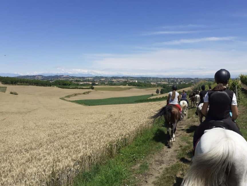 Langhe: Horse Riding in the Vineyards - Choosing between the one-hour and two-hour ride