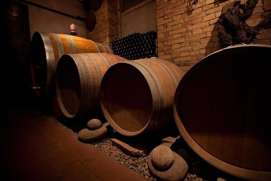 Langhe & Monferrato: Vineyard Tour and Wine Tasting - Inside the Cellar, Where the Work Becomes Clear