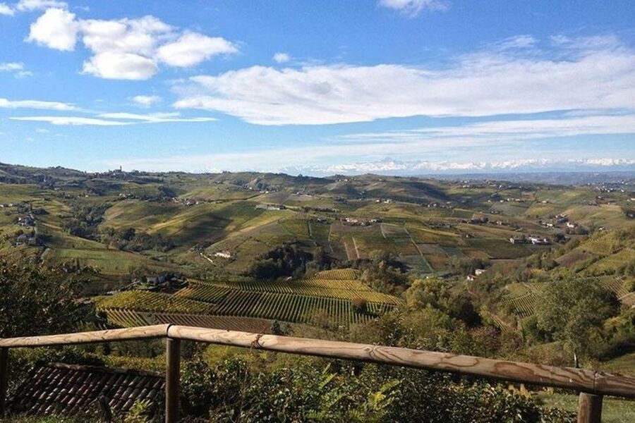 Langhe & Monferrato: Vineyard Tour and Wine Tasting - Practical Details Before You Go