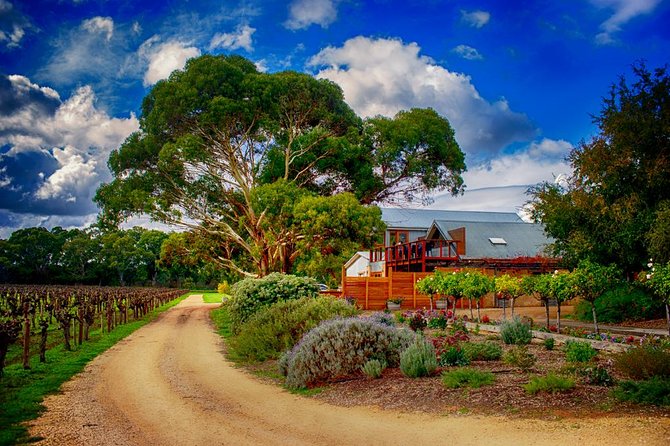 Langhorne Creek Wine Region Daytrip with Lunch from Adelaide - Key points before you book