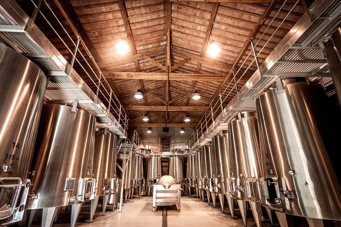 Languedoc Vineyard Tours - Limoux and the Sparkling Wine Connection