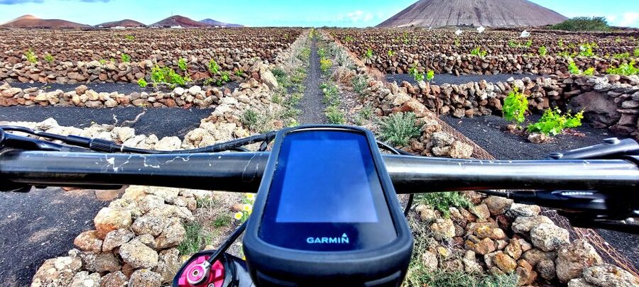 Lanzarote E-Bike Tour: Volcano Craters & Scenic Vineyards - Who should book this tour?
