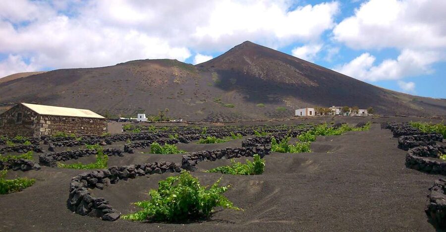 Lanzarote: La Geria Vineyards Hiking Tour - Is the $55 price fair?