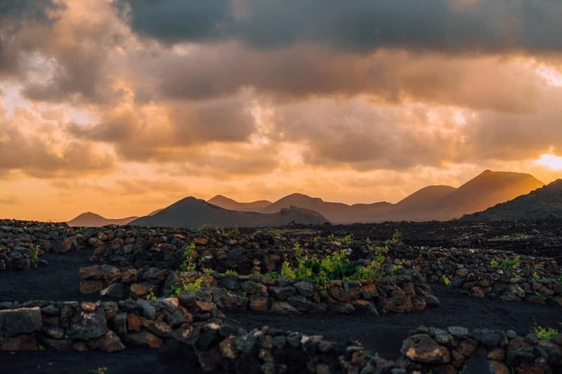 Lanzarote: Sunset vineyard tour with wine and chocolate tasting - Why Finca Testeina gives the tasting more character