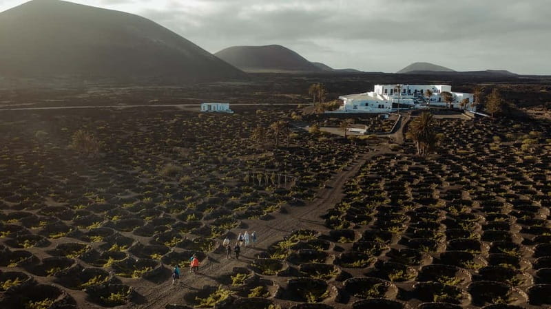 Lanzarote: Sunset vineyard tour with wine and chocolate tasting - The historic house, cistern, press, and old winery