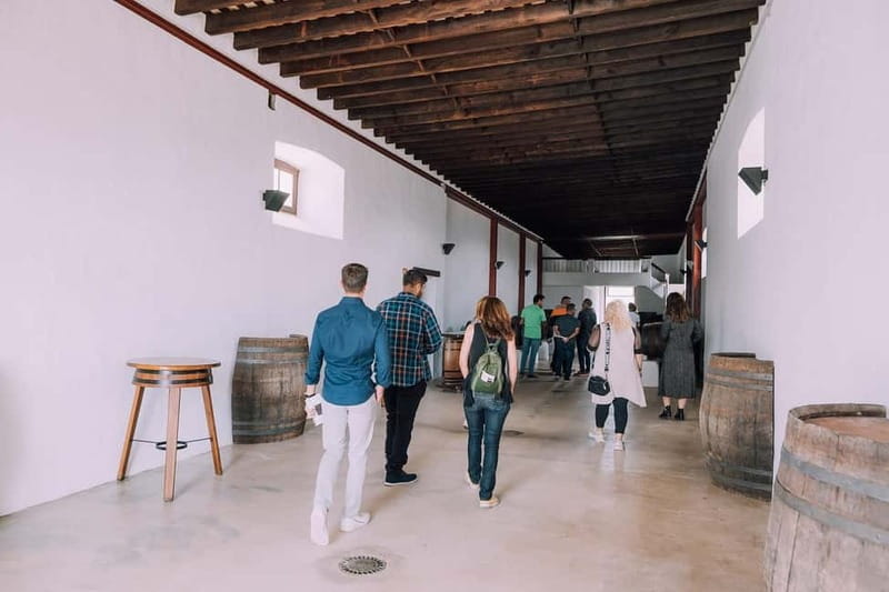 Lanzarote: Sunset vineyard tour with wine and chocolate tasting - Is $31 good value for 90 minutes?