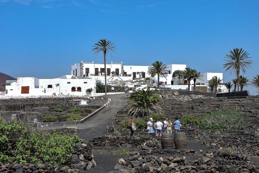 Lanzarote: Vineyard Tour with Wine and Chocolate Tasting - Key points at a glance