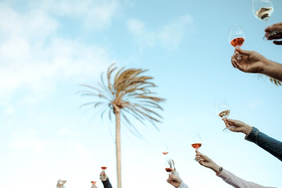 Lanzarote: Vineyard Tour with Wine and Chocolate Tasting - Final verdict: a smart short stop in Lanzarote