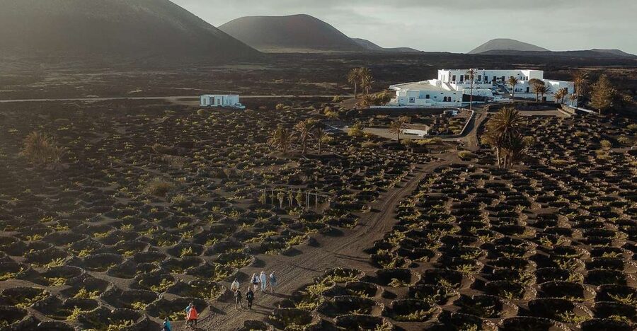 Lanzarote: Vineyard Tour with Wine and Chocolate Tasting - What makes Lanzarote’s vineyards so unusual