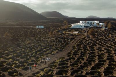 Lanzarote Volcano and Wine Region Tour