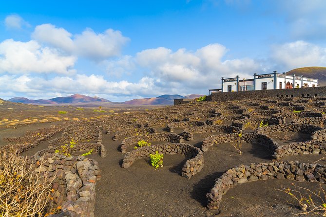Lanzarote Volcano and Wine Region Tour from Fuerteventura - What you see inside Timanfaya National Park