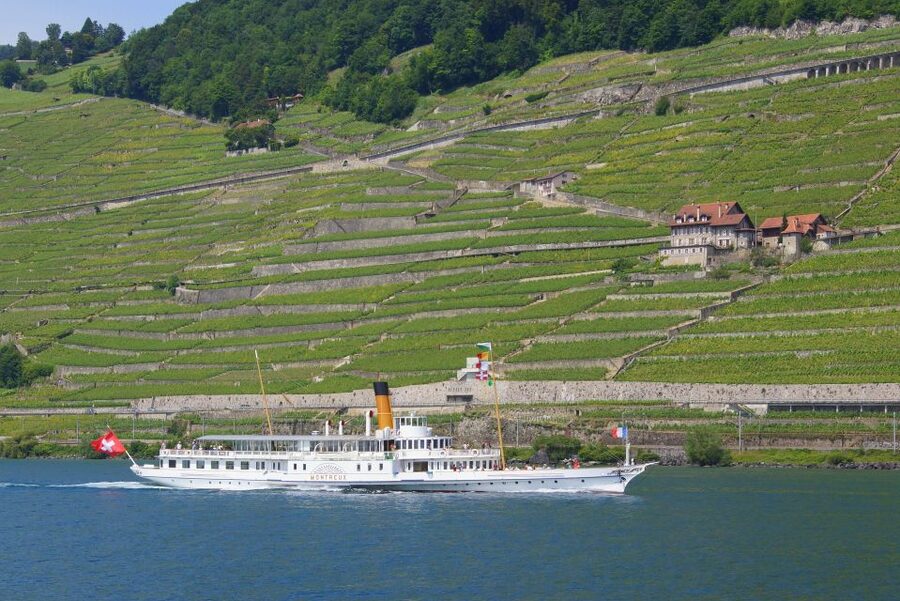 Lausanne: 2-Hour Lake Geneva Cruise Along Lavaux Vineyards - Quick take: what makes this cruise worthwhile