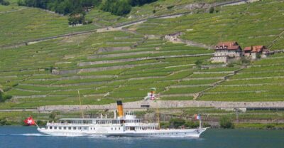 Lausanne: 2-Hour Lake Geneva Cruise Along Lavaux Vineyards