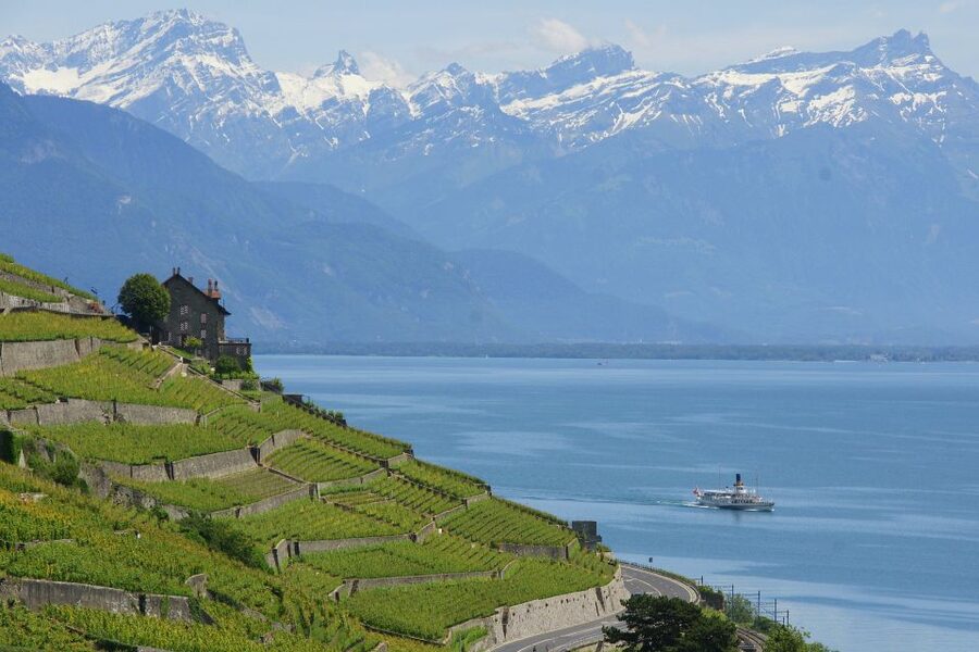 Lausanne: 2-Hour Lake Geneva Cruise Along Lavaux Vineyards - Cully, Lutry, and Pully on the return route
