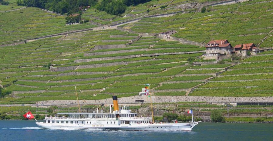 Lausanne: 2-Hour Lake Geneva Cruise Along Lavaux Vineyards - Wine, food, and the onboard atmosphere