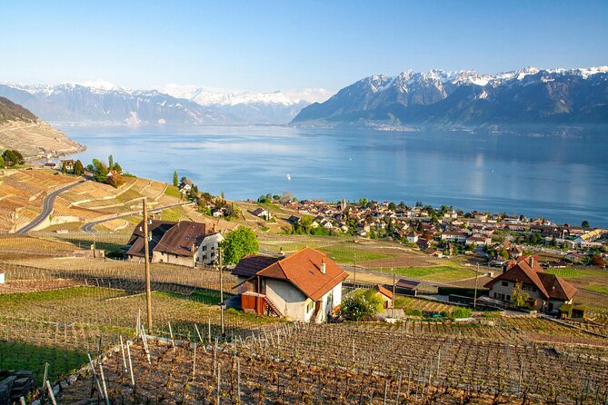 Lavaux Wine and Vineyard Experience with Boat Cruise - Organic wine and cellar work at Domaine Mermetus