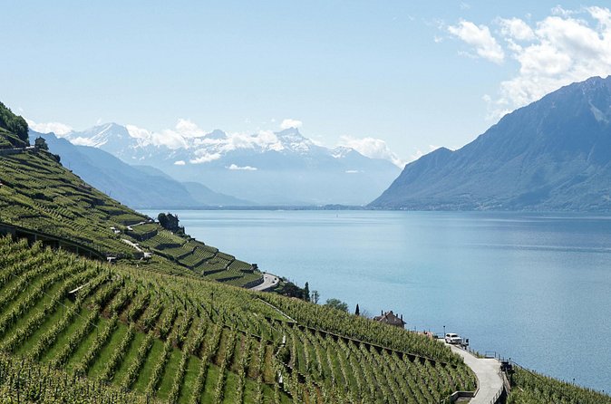 Lavaux Wine and Vineyard Experience with Boat Cruise - Lunch with a Lavaux view in Grandvaux