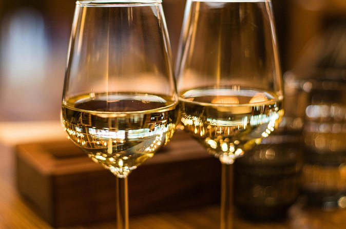 Lavaux Wine and Vineyard Experience with Boat Cruise - Who will enjoy this most?