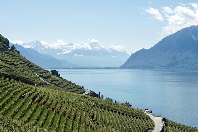 Lavaux Wine and Vineyard Experience with Boat Cruise - Walking the terraces at Chemin du Daley