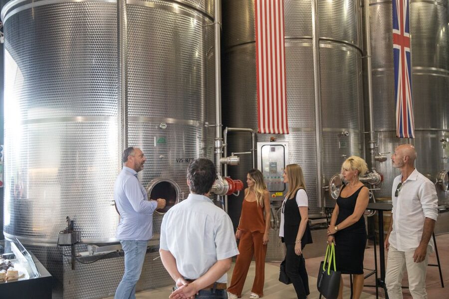 Lazise: Vineyard Tour and Organic Wine Tasting - Seeing old and new winemaking tools in the cellar