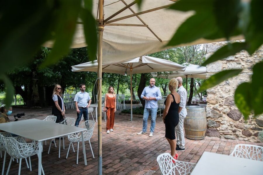 Lazise: Vineyard Tour and Organic Wine Tasting - Five wines, from Pinot Grigio to Bardolino