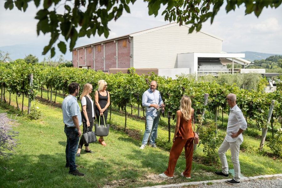 Lazise: Vineyard Tour and Organic Wine Tasting - Savory food that makes the tasting work