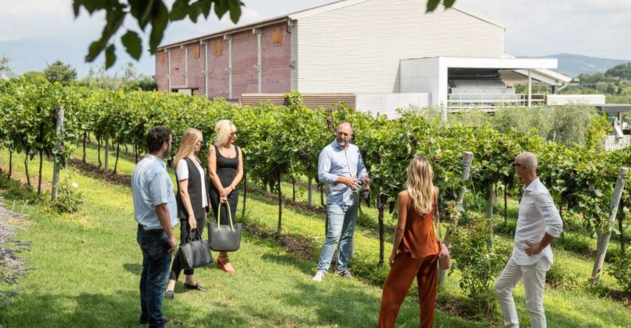 Lazise: Vineyard Tour and Organic Wine Tasting - Buying bottles at the modern wine shop
