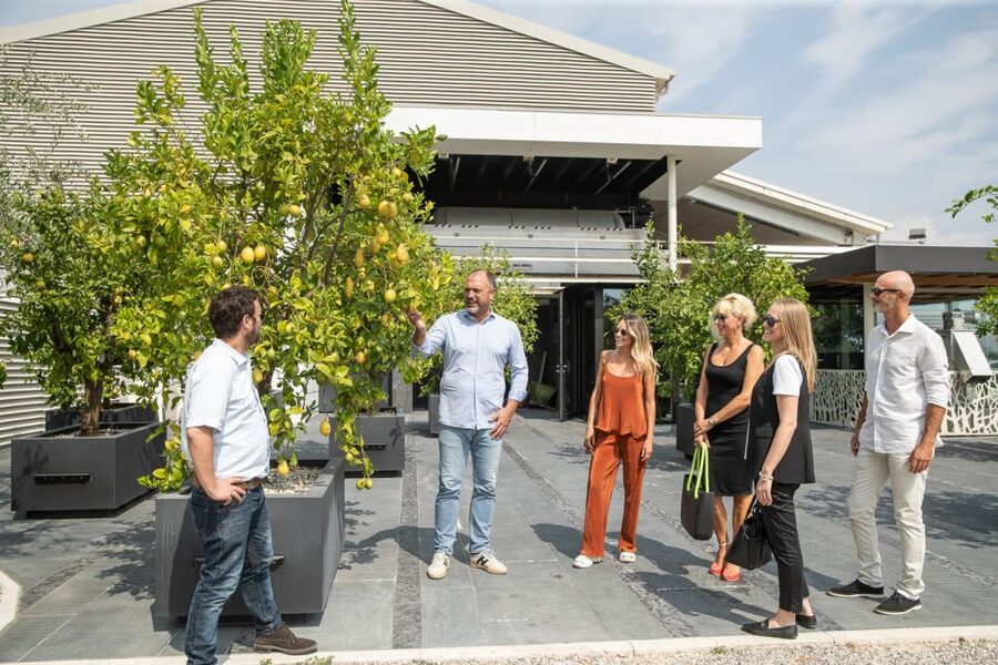 Lazise: Vineyard Tour and Organic Wine Tasting - Walking through the organic vineyards
