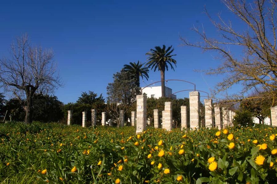 Lecce: Countryside Vineyard Walk & Wine Tasting - Key points at a glance