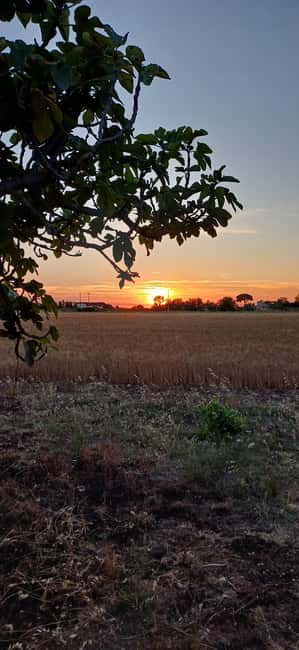 Lecce: Countryside Vineyard Walk & Wine Tasting - The old wine-making room and country house