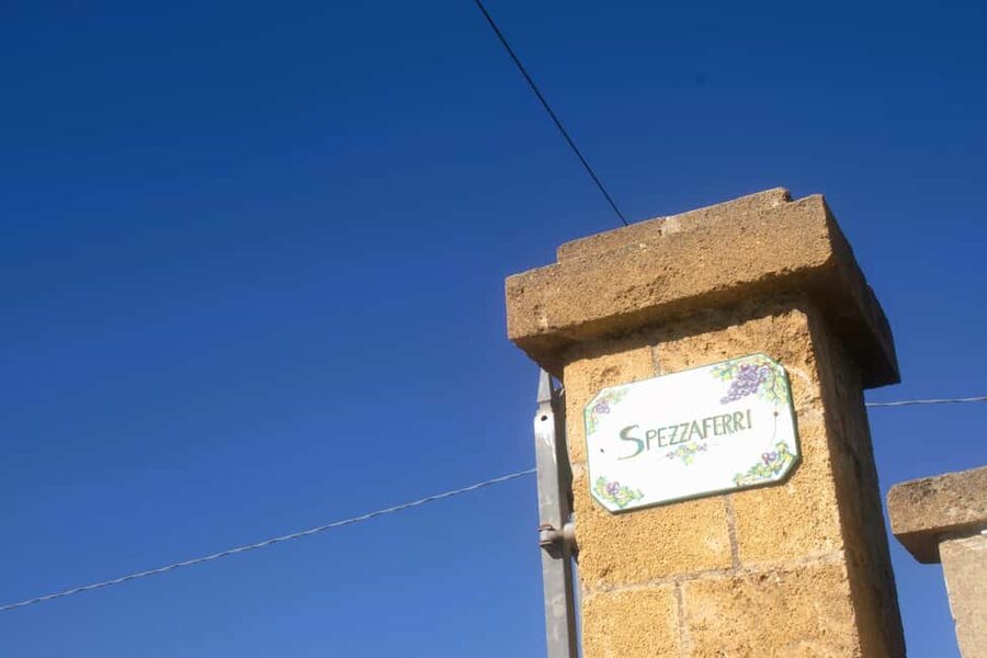 Lecce: Countryside Vineyard Walk & Wine Tasting - Walking through the vines and Mediterranean garden