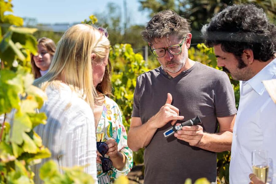 Lisbon: Carcavelos Vineyard Tour and Wine Tasting - A rare Portuguese wine only 20 minutes from Lisbon
