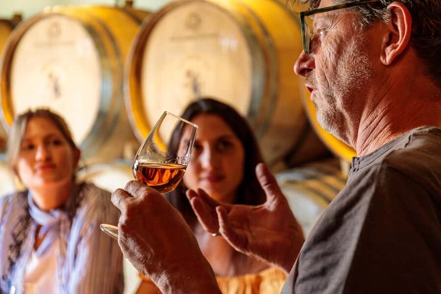 Lisbon: Carcavelos Vineyard Tour and Wine Tasting - Who will enjoy Quinta da Corrieira most