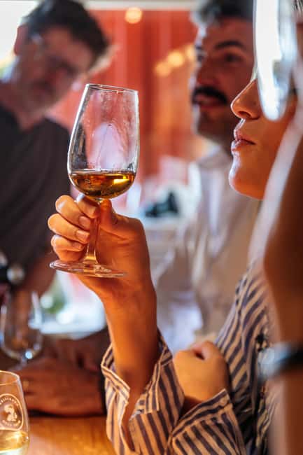 Lisbon: Carcavelos Vineyard Tour and Wine Tasting - Walking through the vineyard and winery